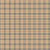 Плівка дизайнерська для АК12 - Burberry